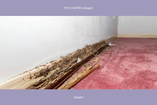 PEST CONTROL Oologah